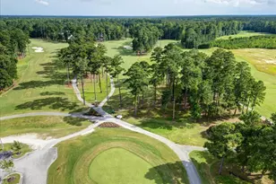 3510 Henna Pl, New Bern, NC 28562 - Photo 83