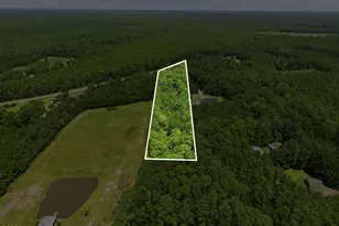 390 Old Winberry Rd, Newport, NC 28570 - Photo 7