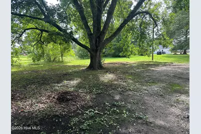 201 N White Street, Whitakers, NC 27891 - Photo 21