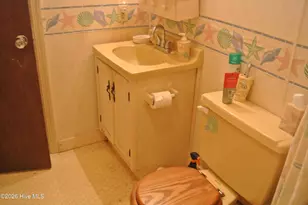 227 Pigott Rd, Gloucester, NC 28528 - Photo 51