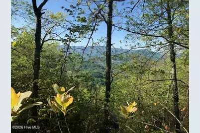 501A Cliff Top Trail, Andrews, NC 28901 - Photo 7