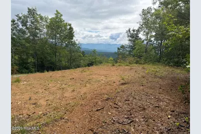 501A Cliff Top Trail, Andrews, NC 28901 - Photo 1