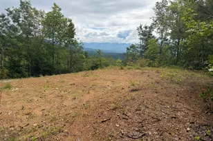 501A Cliff Top Trail, Andrews, NC 28901 - Photo 1