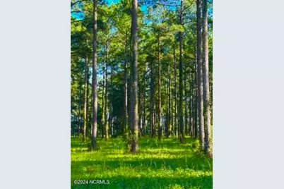 103 Cassie May Boulevard, Oriental, NC 28571 - Photo 1