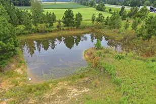 5936 Long Branch Rd, Wilson, NC 27893 - Photo 17