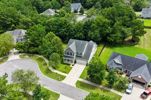 115 Bunchberry Ct, Hampstead, NC 28443 - Photo 51