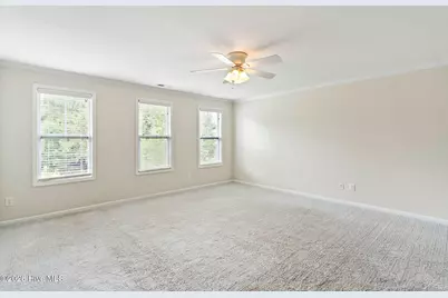 115 Bunchberry Court, Hampstead, NC 28443 - Photo 43