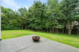 115 Bunchberry Ct, Hampstead, NC 28443 - Photo 45