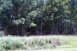 Tbd Haywood Smith Rd, Hertford, NC 27944 - Photo 1
