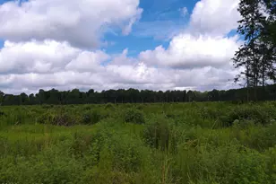Tbd Haywood Smith Rd, Hertford, NC 27944 - Photo 1