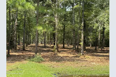 Lot 51A Sunset Point Road, Belhaven, NC 27810 - Photo 11