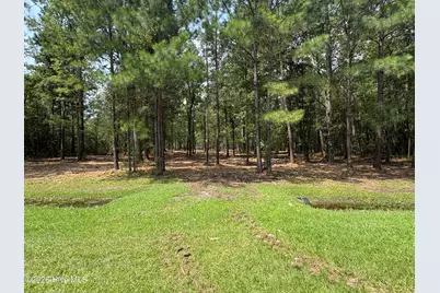 Lot 52 Sunset Point Road, Belhaven, NC 27810 - Photo 13