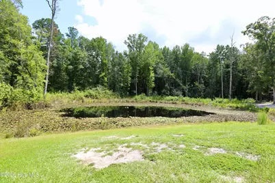 453 Lane Road, Cameron, NC 28326 - Photo 3