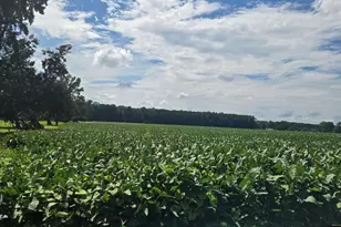 0 St Marys Church Rd, Lucama, NC 27851 - Photo 1