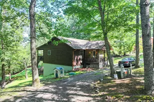 350 Cobb Bluff, Murphy, NC 28906 - Photo 3
