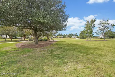 7091 Muskerry Way, Leland, NC 28451 - Photo 99