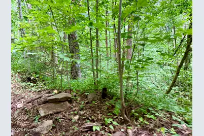 4181 Huffman Creek Road #32, Robbinsville, NC 28771 - Photo 37