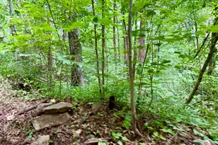 4181 Huffman Creek Rd, Robbinsville, NC 28771 - Photo 37