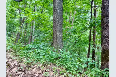 4181 Huffman Creek Road #32, Robbinsville, NC 28771 - Photo 39