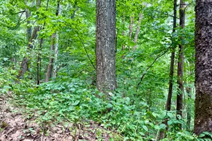 4181 Huffman Creek Rd, Robbinsville, NC 28771 - Photo 39