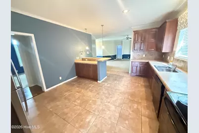 479 Ralph Dail Road, Mount Olive, NC 28365 - Photo 11