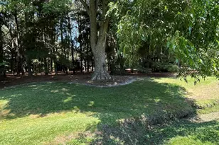 262 Mewborn Church Rd, Snow Hill, NC 28580 - Photo 31