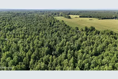5200 Kershaw Road, Oriental, NC 28571 - Photo 11