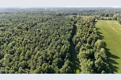 5200 Kershaw Road, Oriental, NC 28571 - Photo 37