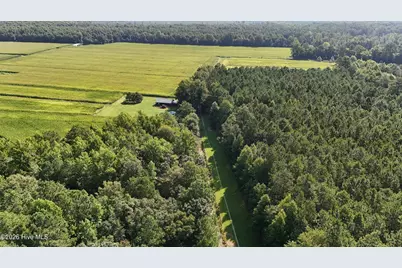 5200 Kershaw Road, Oriental, NC 28571 - Photo 43