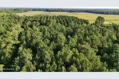 5200 Kershaw Road, Oriental, NC 28571 - Photo 29
