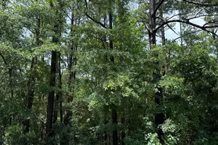 212 Golden Rd, Wilmington, NC 28409 - Photo 1