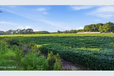 314 Camp Creek Drive, Oriental, NC 28571 - Photo 25