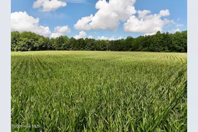 Lot 3 Mobley Road, Lucama, NC 27851 - Photo 23