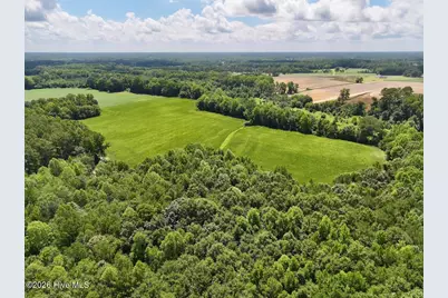 Lot 3 Mobley Road, Lucama, NC 27851 - Photo 3