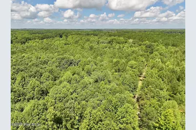 Lot 3 Mobley Road, Lucama, NC 27851 - Photo 13