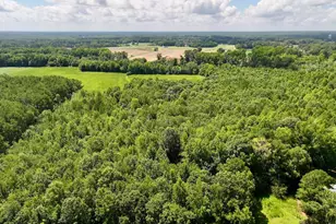 Lot 3 Mobley Rd, Lucama, NC 27851 - Photo 1