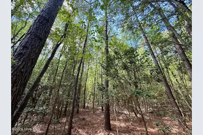 Lot 3 Mobley Road, Lucama, NC 27851 - Photo 7