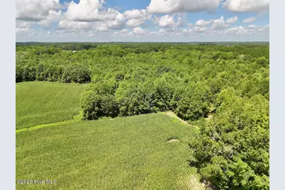 Lot 3 Mobley Road, Lucama, NC 27851 - Photo 11