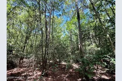 Lot 3 Mobley Road, Lucama, NC 27851 - Photo 25