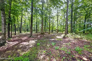 357 See View Ln, Hertford, NC 27944 - Photo 63