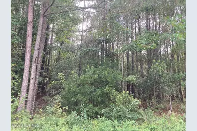 Lot # 33 33 Pine Crest Road, Bath, NC 27808 - Photo 1