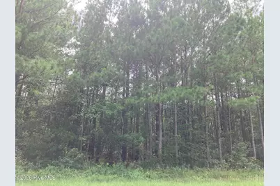 Lot # 33 33 Pine Crest Road, Bath, NC 27808 - Photo 5