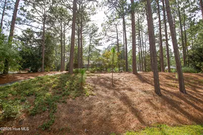 48 Martin Drive, Whispering Pines, NC 28327 - Photo 3