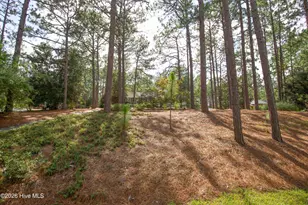 48 Martin Dr, Whispering Pines, NC 28327 - Photo 3