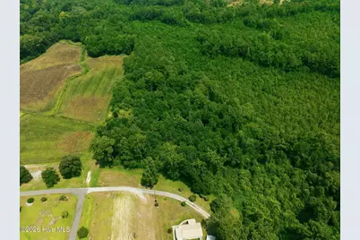 270 Buck Jones Road, Wallace, NC 28466 - Photo 29