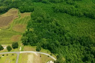 270 Buck Jones Rd, Wallace, NC 28466 - Photo 29