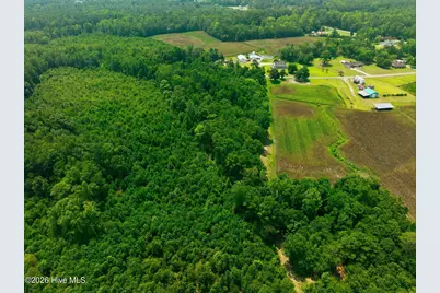 270 Buck Jones Road, Wallace, NC 28466 - Photo 31