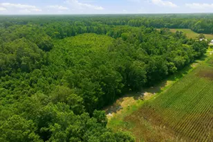 270 Buck Jones Rd, Wallace, NC 28466 - Photo 39