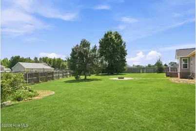 159 Declaration Drive, Raeford, NC 28376 - Photo 59