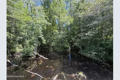 6514 Princess Ann Road, Evergreen, NC 28438 - Photo 5
